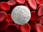 Як підвищити лейкоцити: медикаментозно і в домашніх умовах